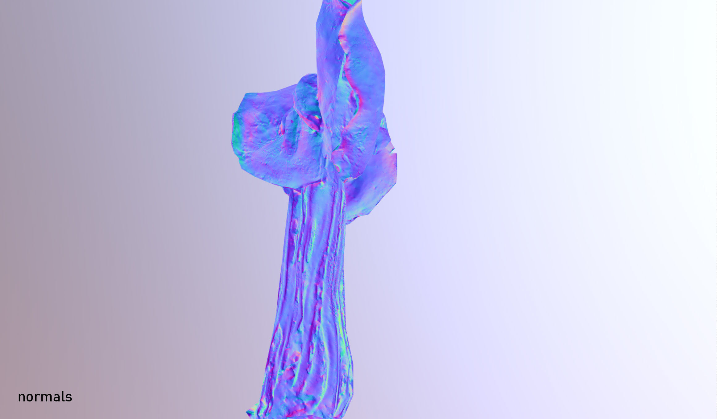 Helvella crispa - white saddle mushroom lowpoly 3D model Low-poly 3D model_21