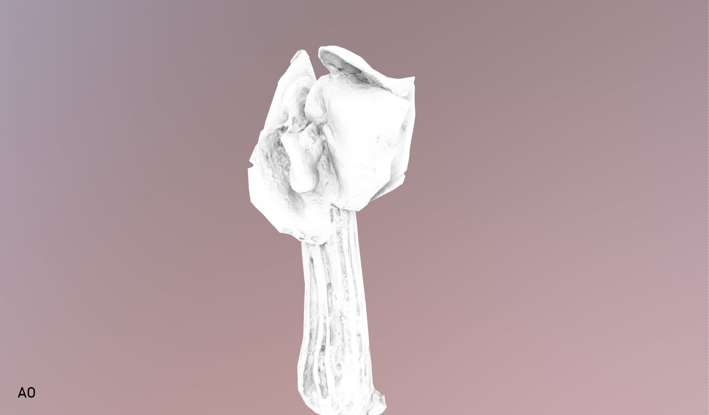 Helvella crispa - white saddle mushroom lowpoly 3D model Low-poly 3D model_30