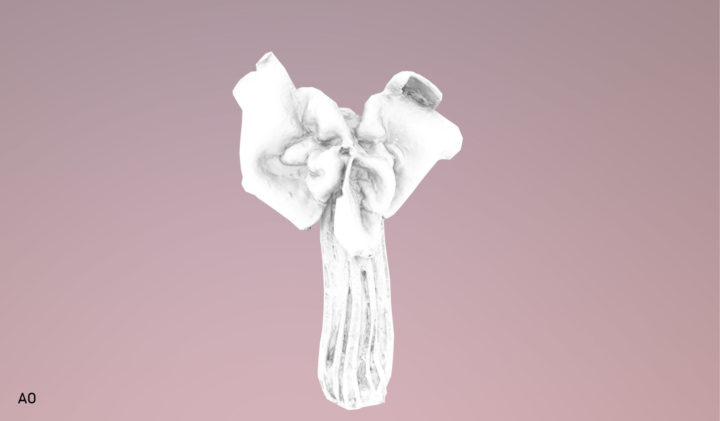 Helvella crispa - white saddle mushroom lowpoly 3D model Low-poly 3D model_29