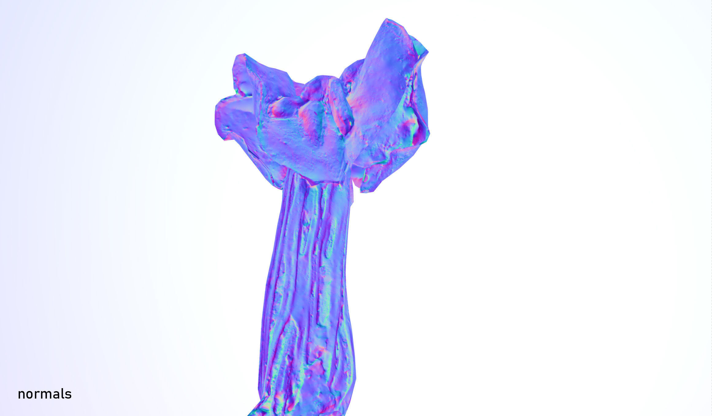 Helvella crispa - white saddle mushroom lowpoly 3D model Low-poly 3D model_22