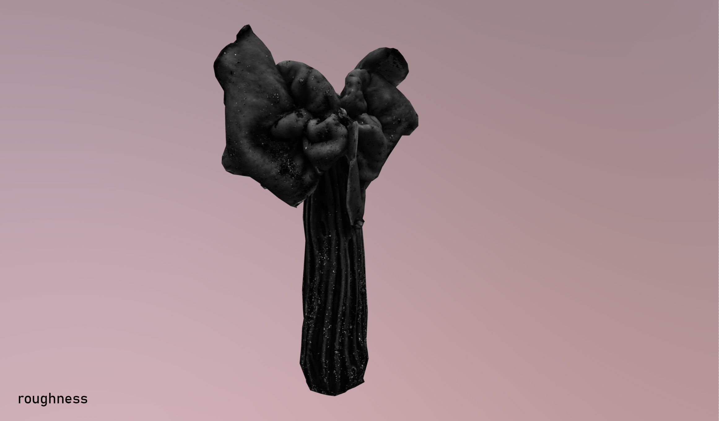 Helvella crispa - white saddle mushroom lowpoly 3D model Low-poly 3D model_33