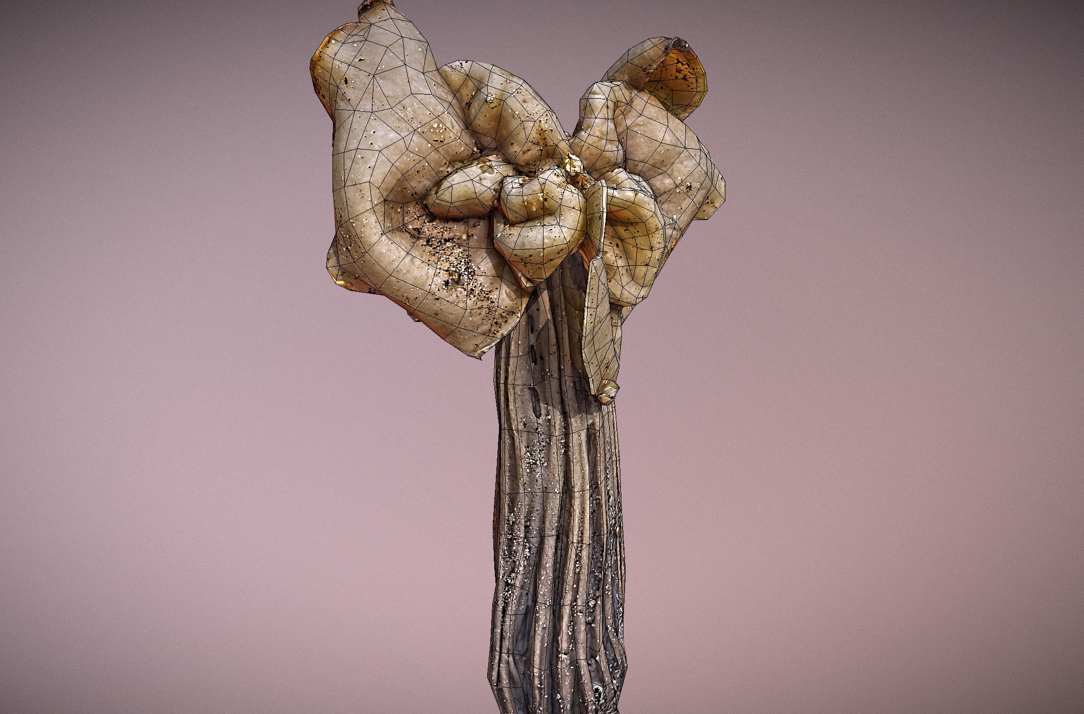 Helvella crispa - white saddle mushroom lowpoly 3D model Low-poly 3D model_38