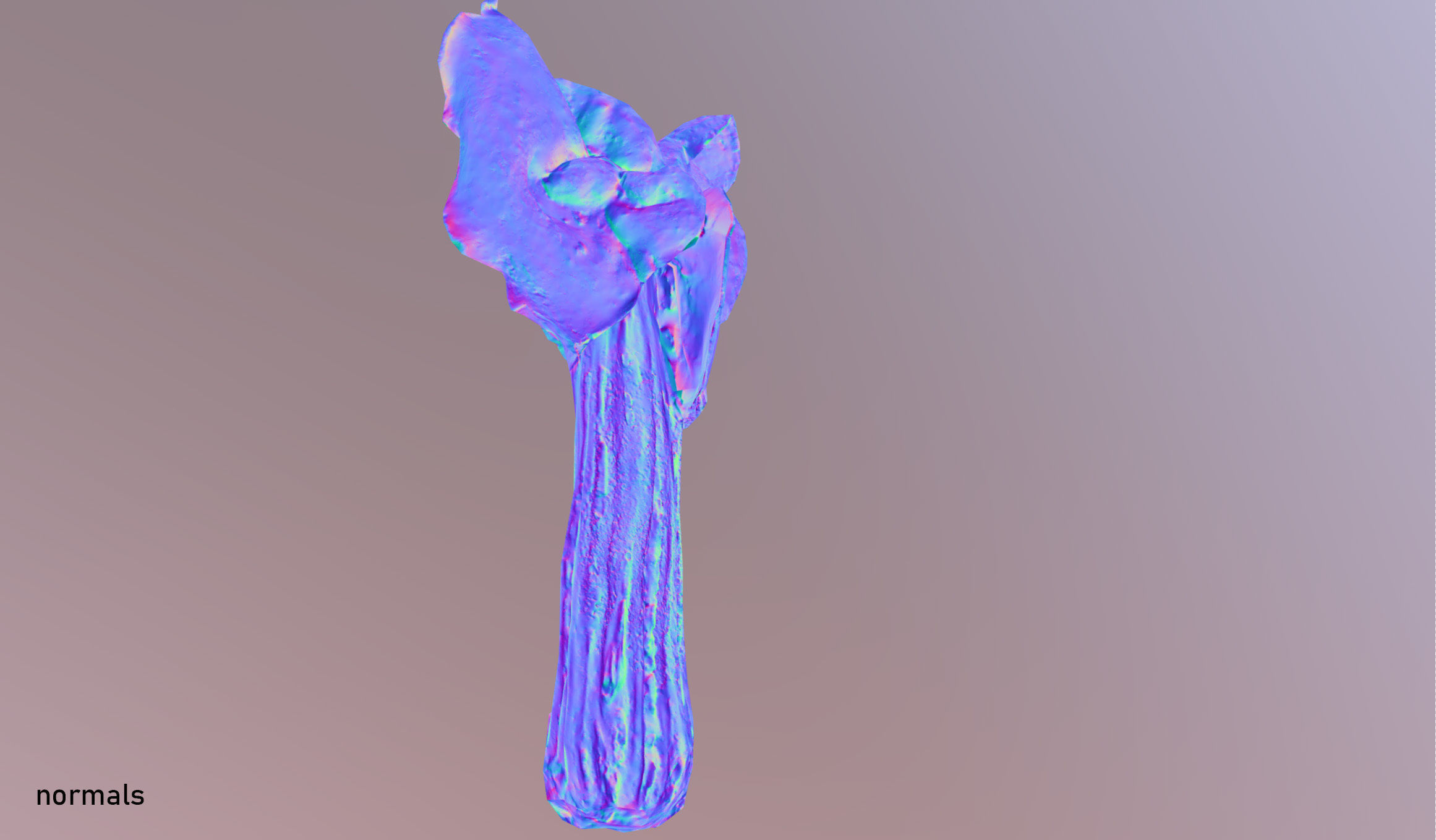 Helvella crispa - white saddle mushroom lowpoly 3D model Low-poly 3D model_20