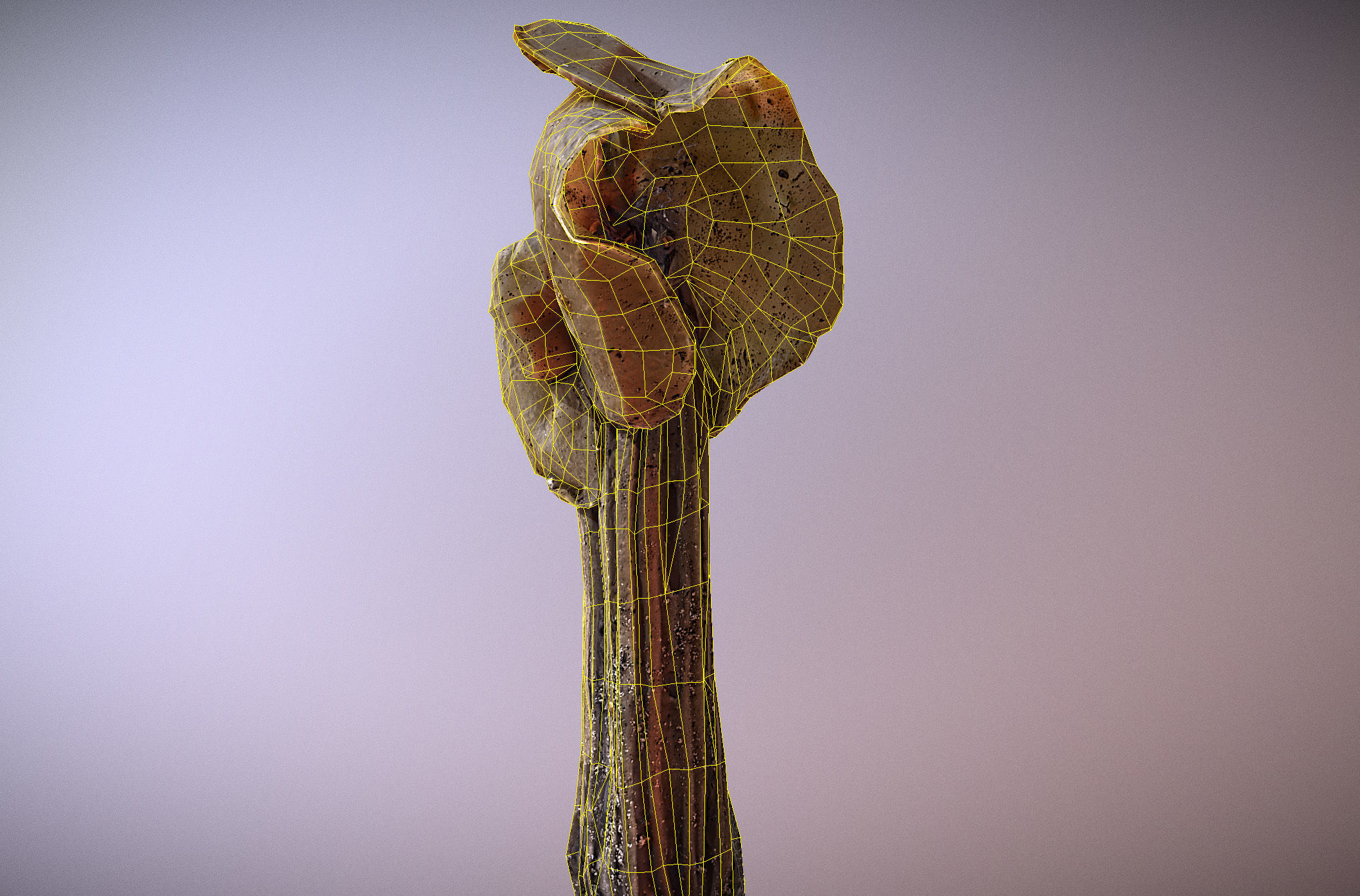 Helvella crispa - white saddle mushroom lowpoly 3D model Low-poly 3D model_36