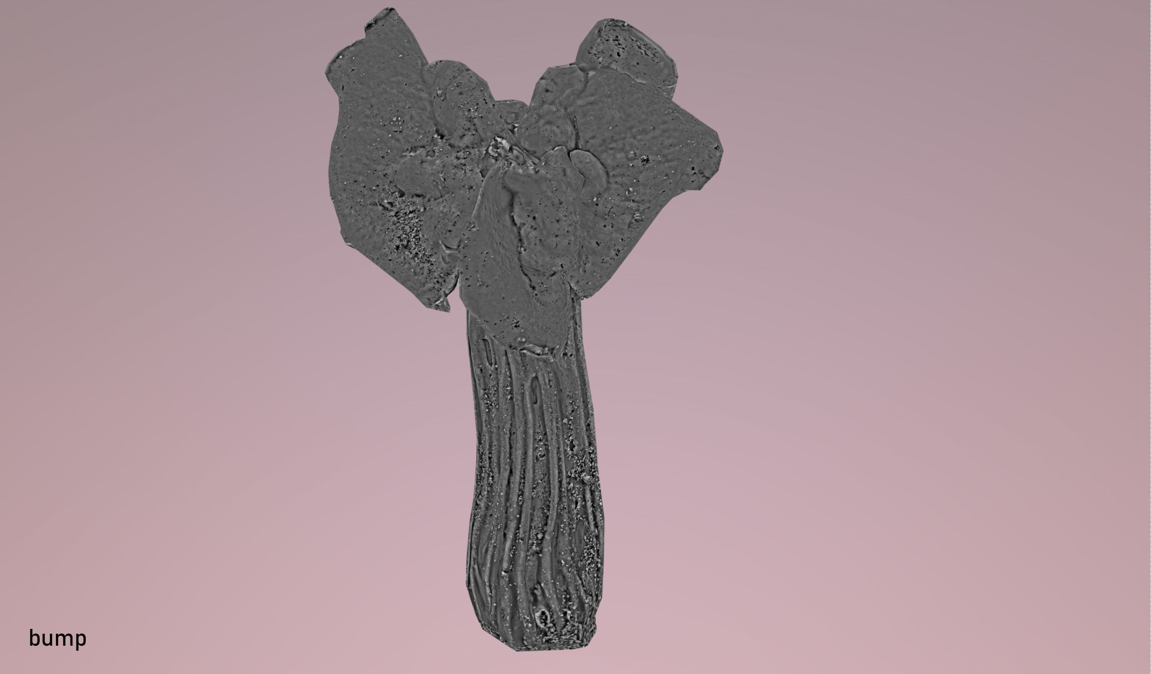 Helvella crispa - white saddle mushroom lowpoly 3D model Low-poly 3D model_26