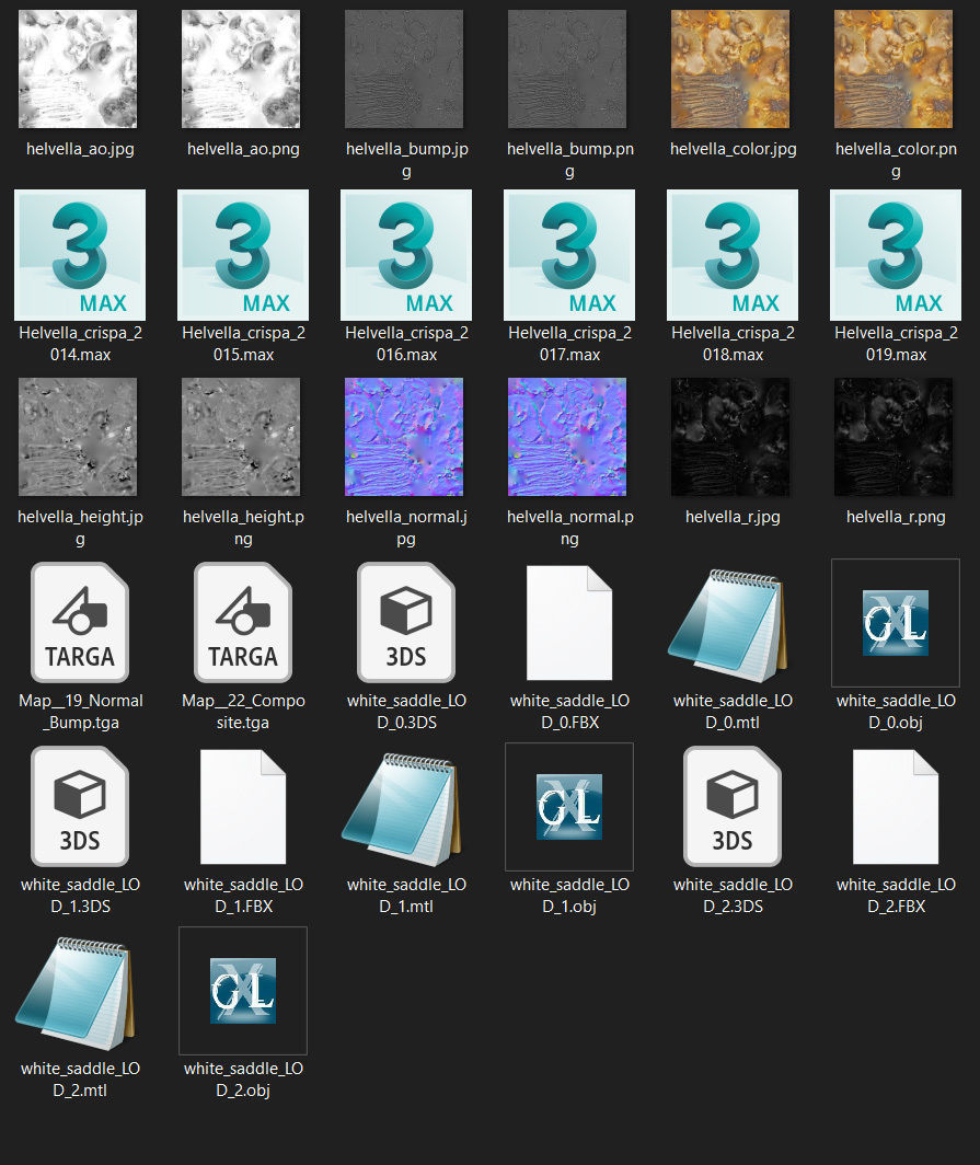 Helvella crispa - white saddle mushroom lowpoly 3D model Low-poly 3D model_39