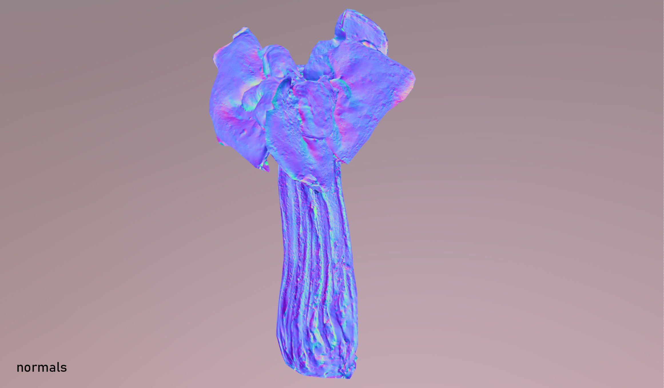 Helvella crispa - white saddle mushroom lowpoly 3D model Low-poly 3D model_19