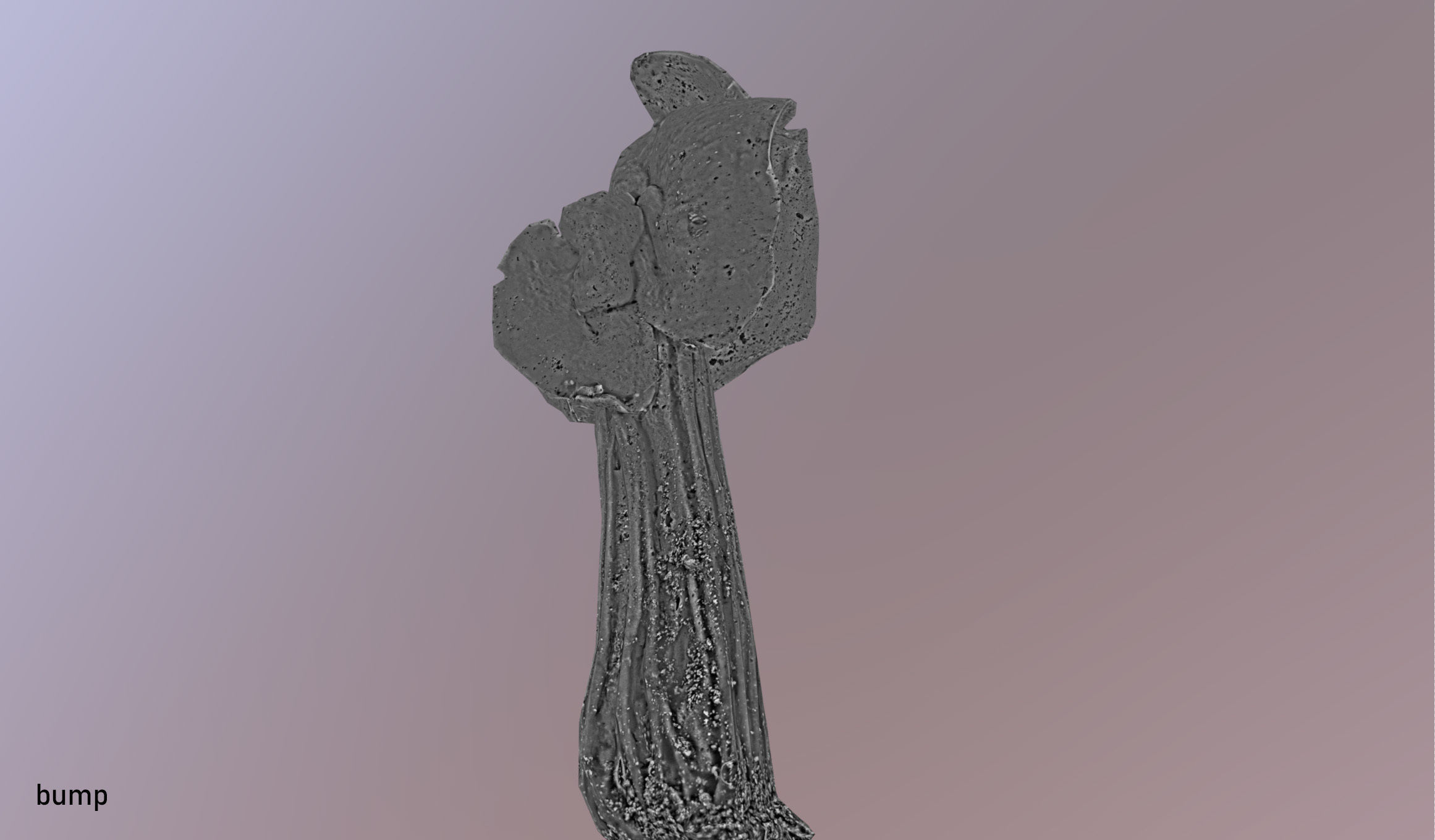 Helvella crispa - white saddle mushroom lowpoly 3D model Low-poly 3D model_25