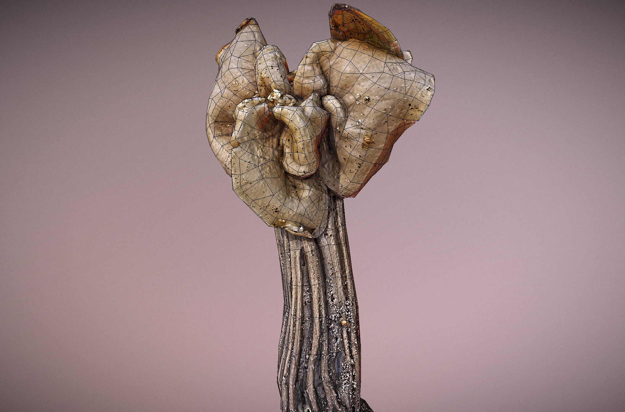 Helvella crispa - white saddle mushroom lowpoly 3D model Low-poly 3D model_37