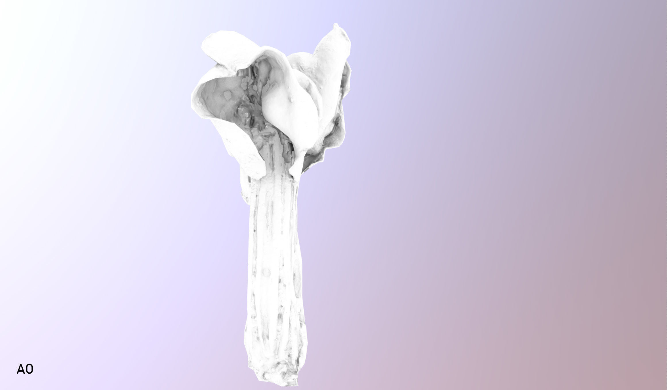 Helvella crispa - white saddle mushroom lowpoly 3D model Low-poly 3D model_31