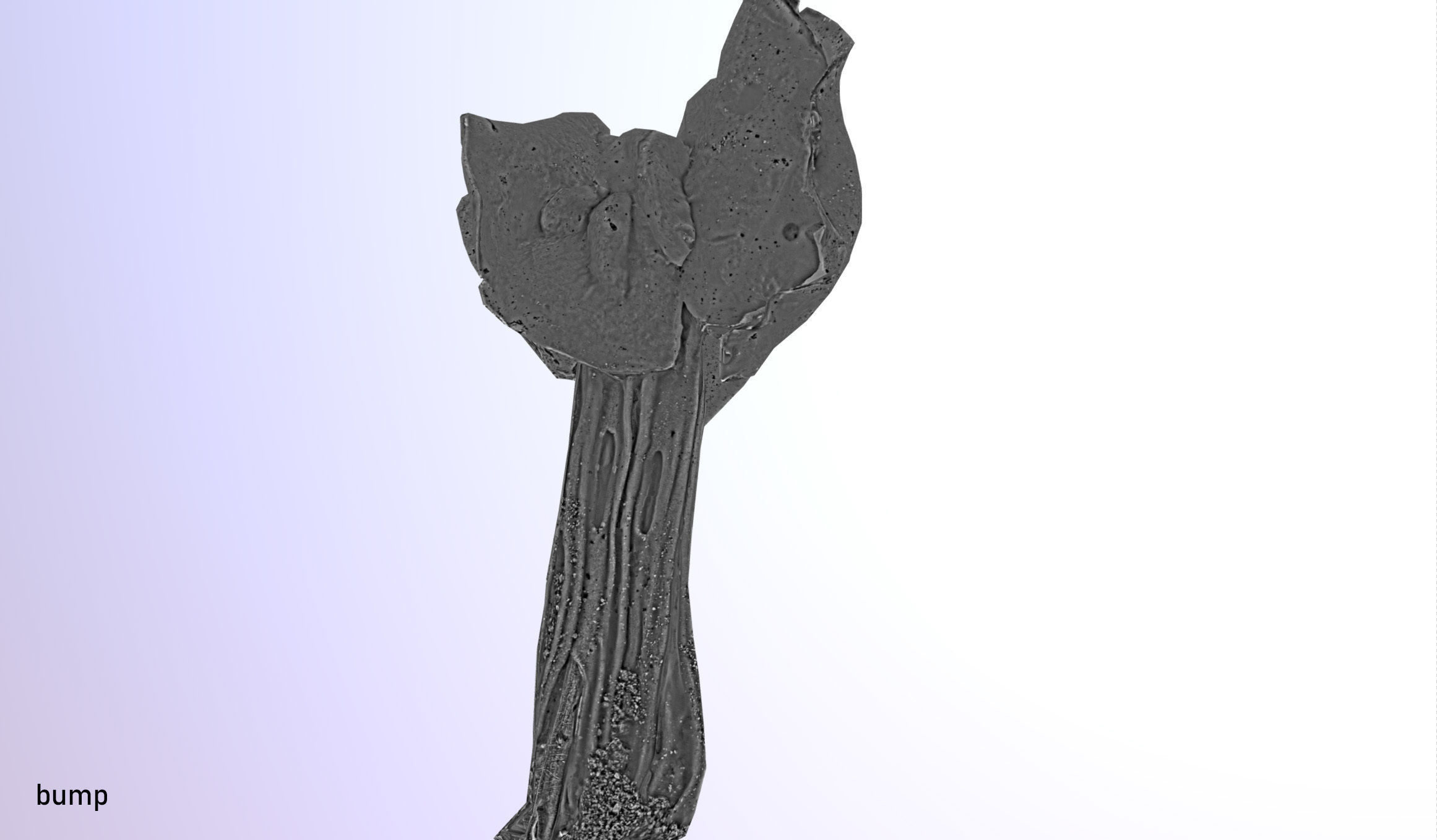 Helvella crispa - white saddle mushroom lowpoly 3D model Low-poly 3D model_28