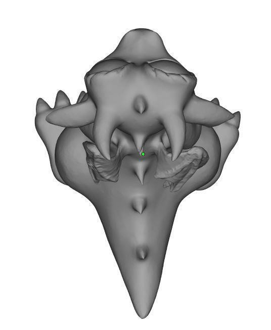 Funny dragon 3D print model_10