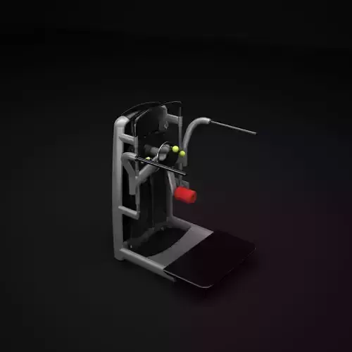 Multi Hip Machine