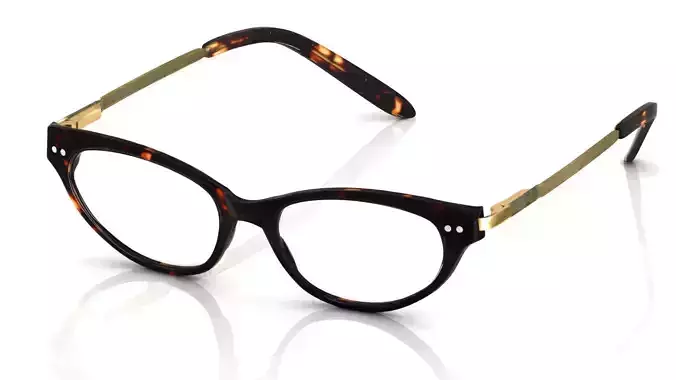 Eyeglasses for Men and Women