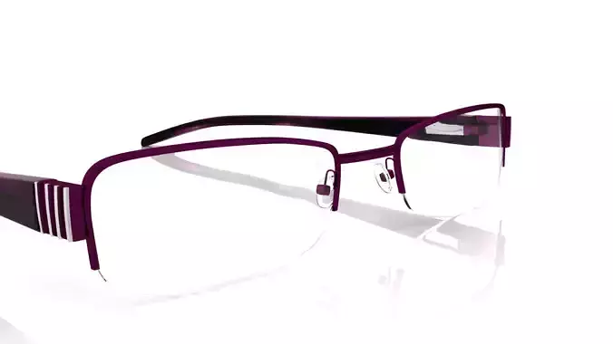 Eyeglasses for Men and Women 3D print model