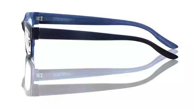 Eyeglasses for Men and Women 3D print model