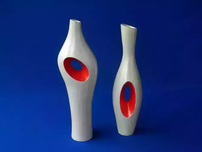 A Pair of Vases 3D print model