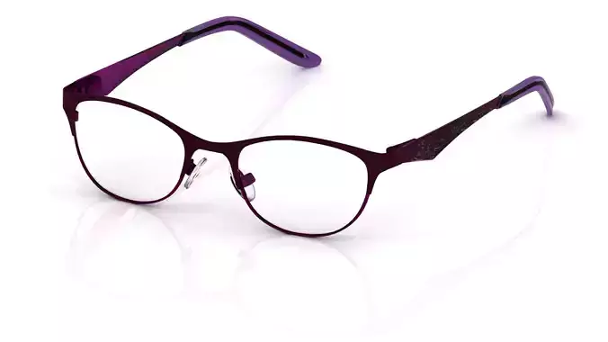 Eyeglasses for Men and Women