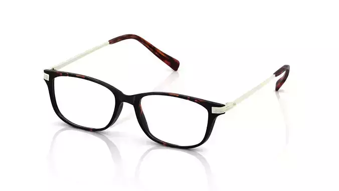 Eyeglasses for Men and Women