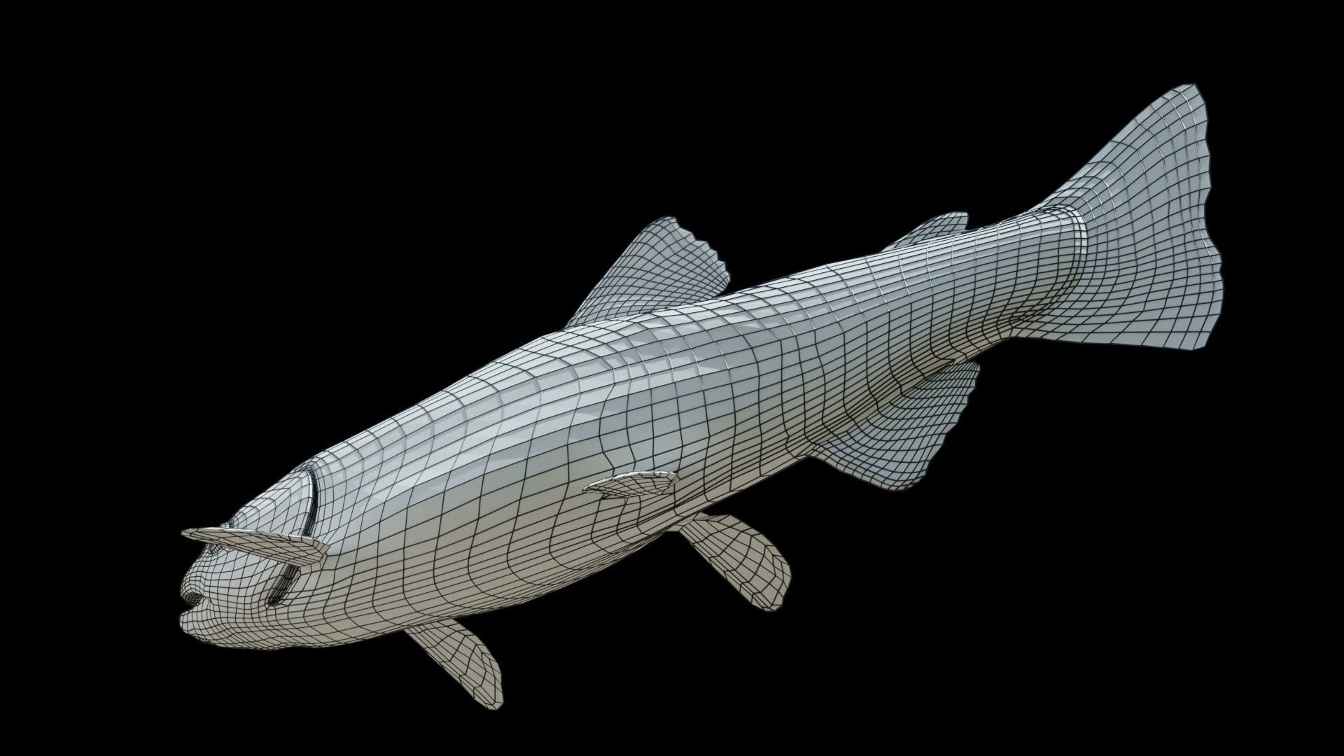 Brown Trout Low-poly 3D model_16