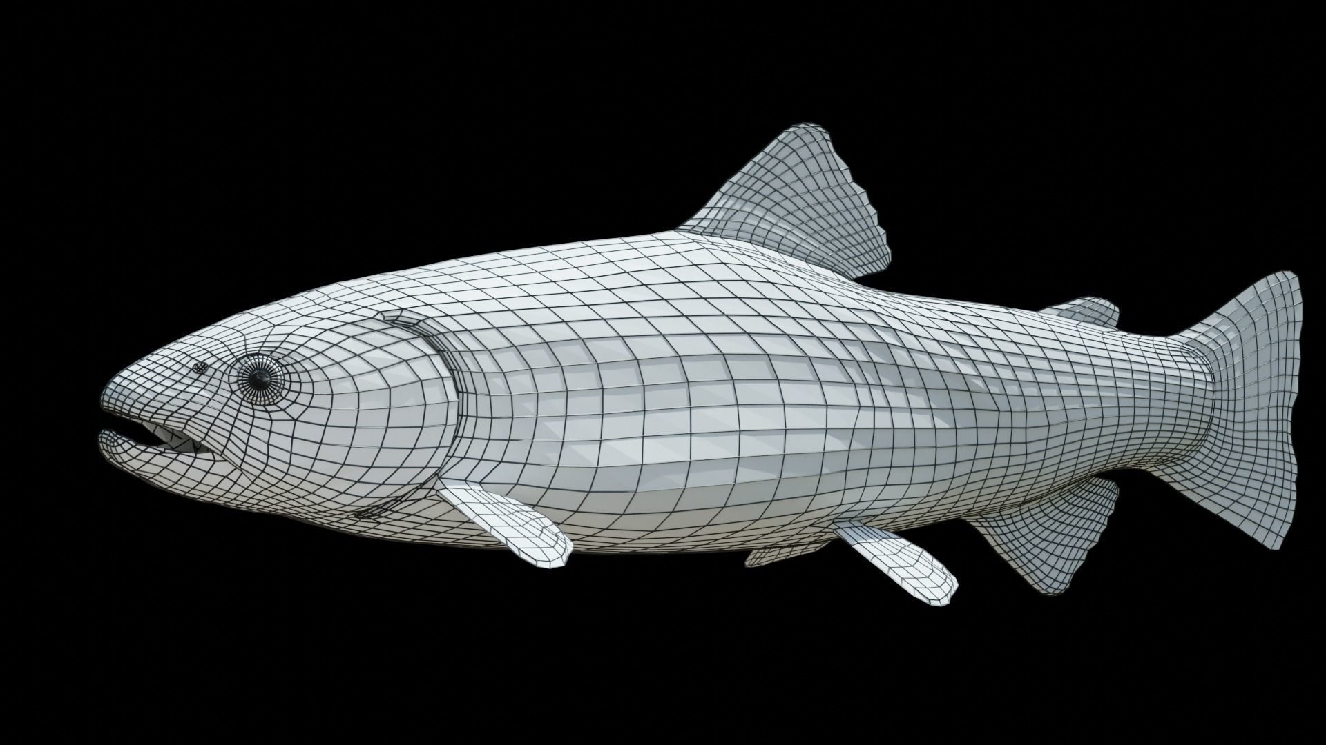 Brown Trout Low-poly 3D model_18