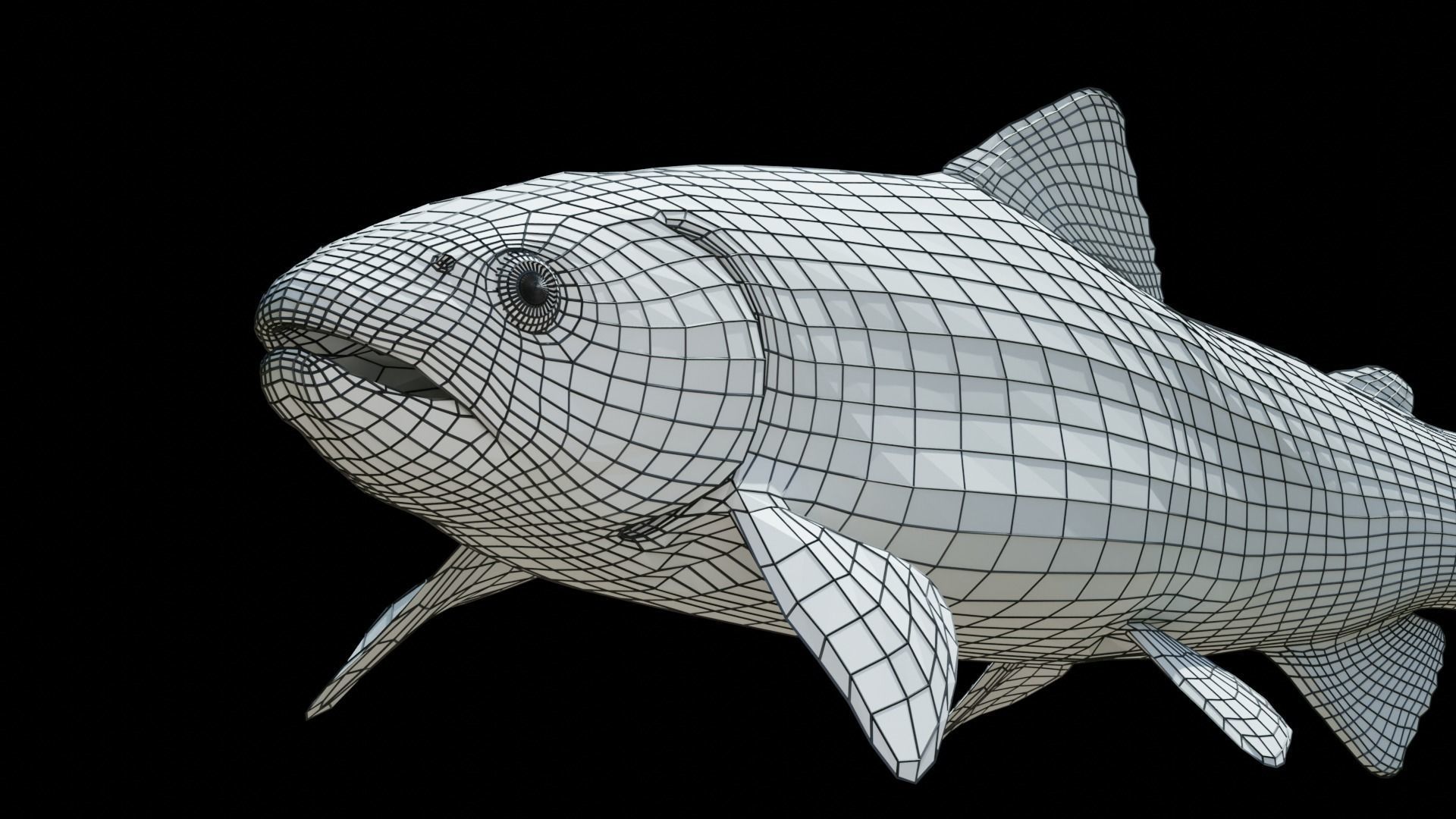 Brown Trout Low-poly 3D model_12