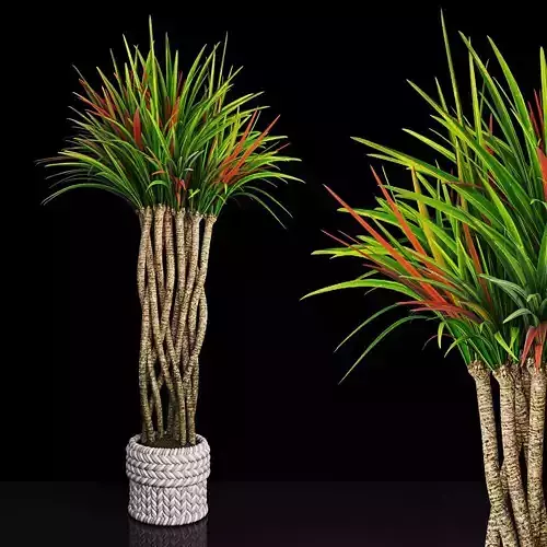 Plant 12 3D model