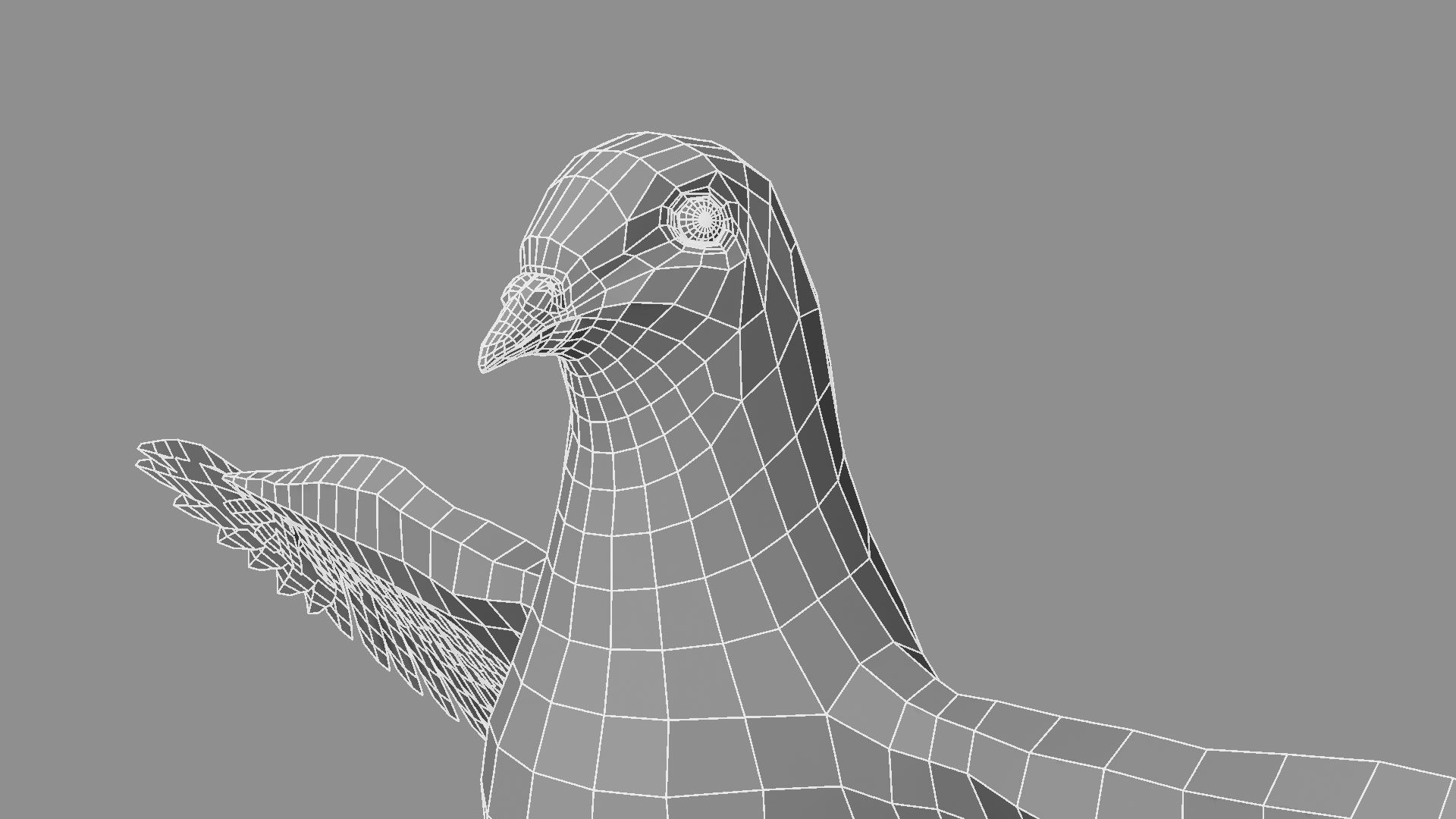 White Pigeon 3D model_19