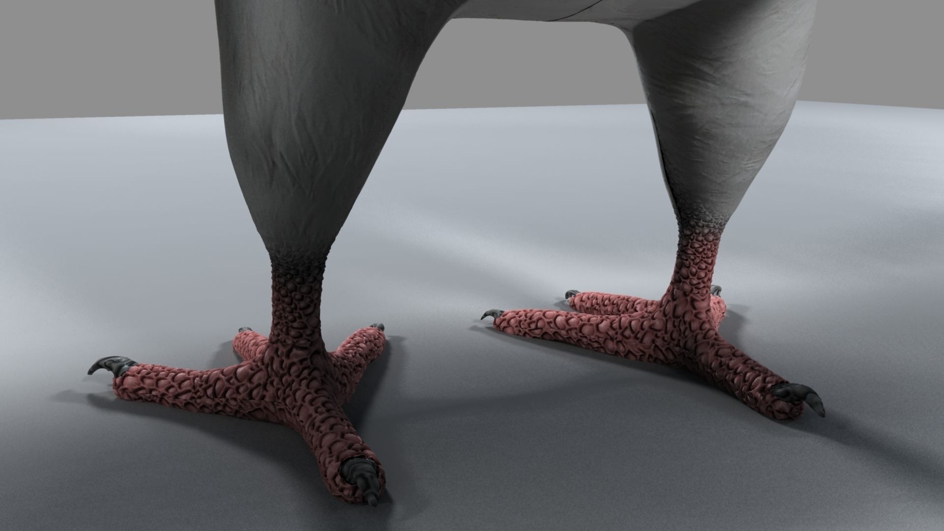 White Pigeon 3D model_26