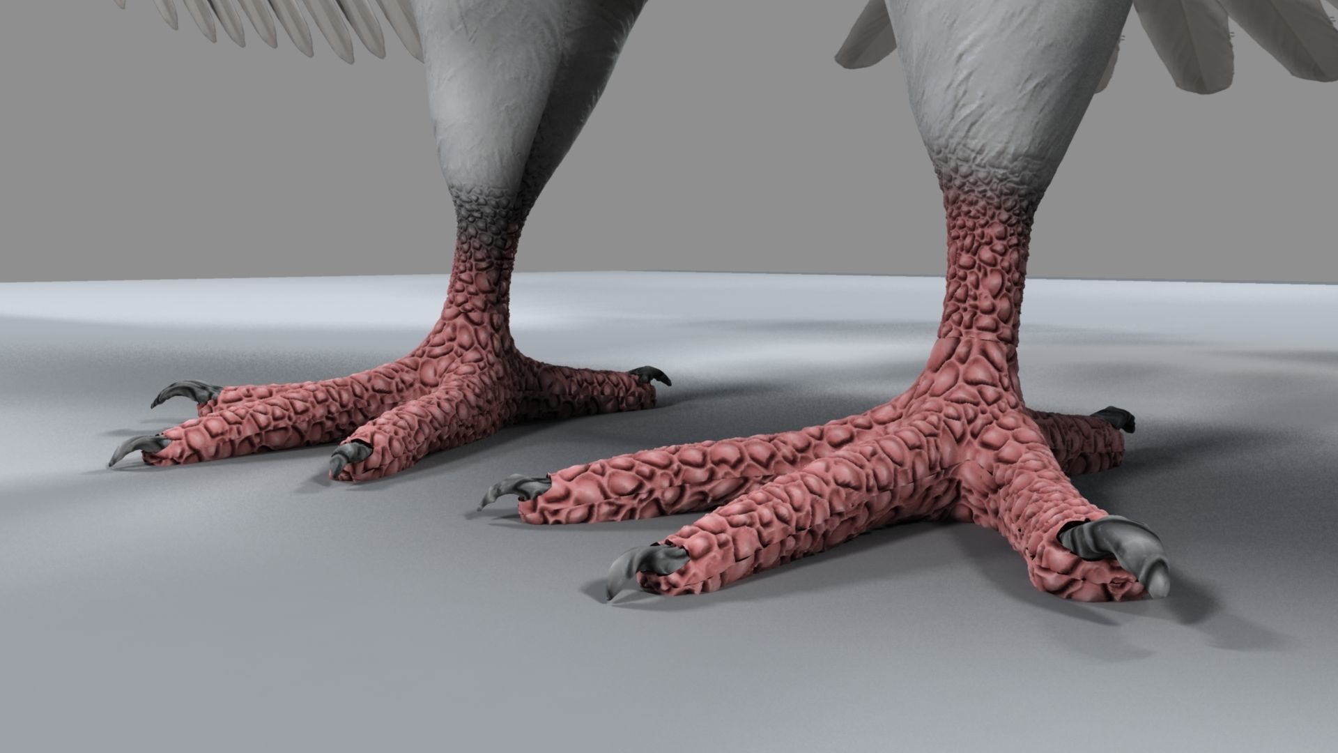 White Pigeon 3D model_25