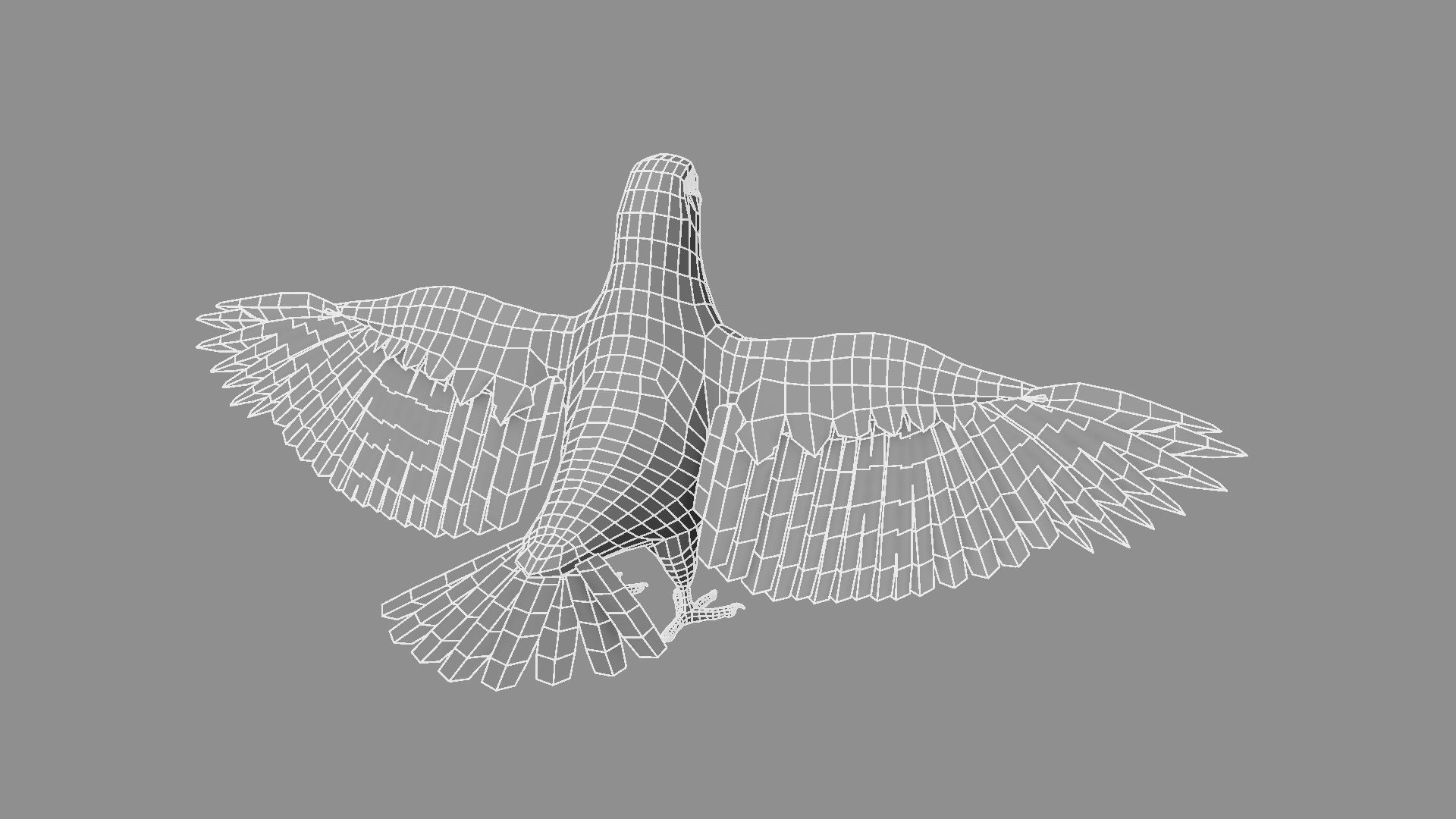 White Pigeon 3D model_5