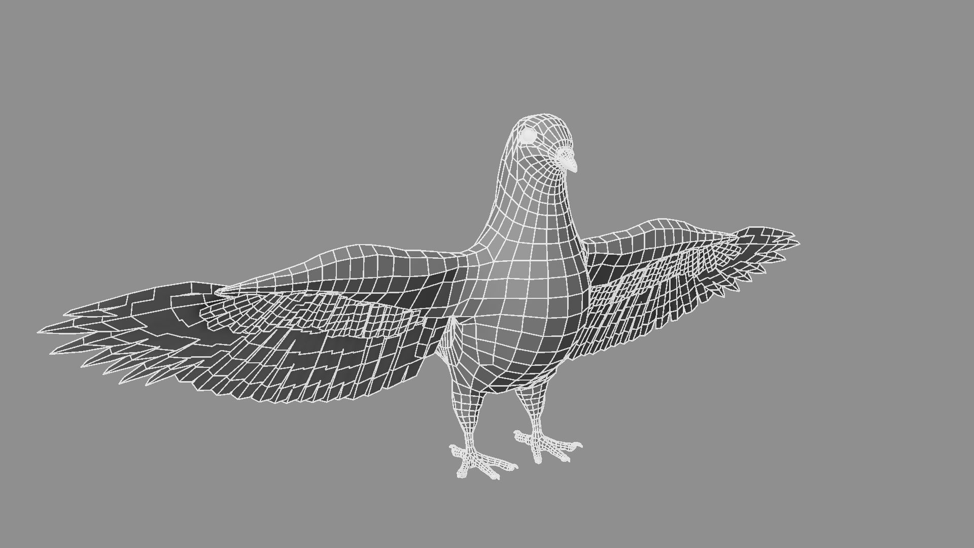 White Pigeon 3D model_4