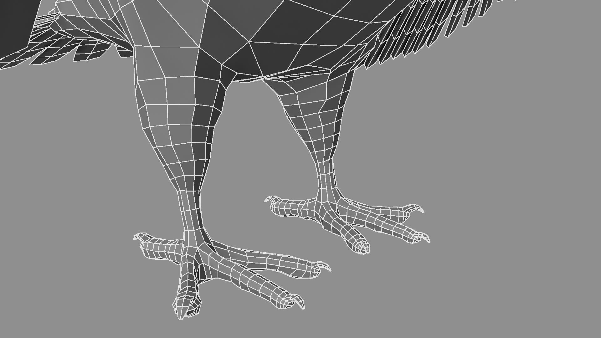 White Pigeon 3D model_22