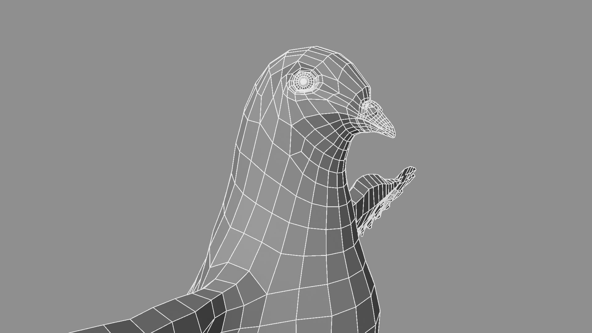 White Pigeon 3D model_20