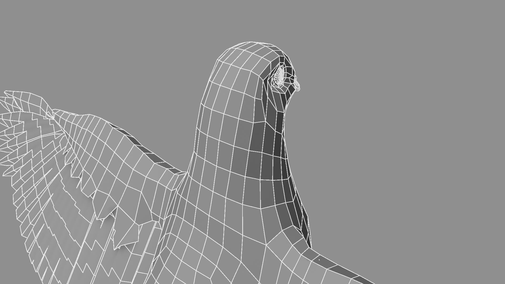 White Pigeon 3D model_30