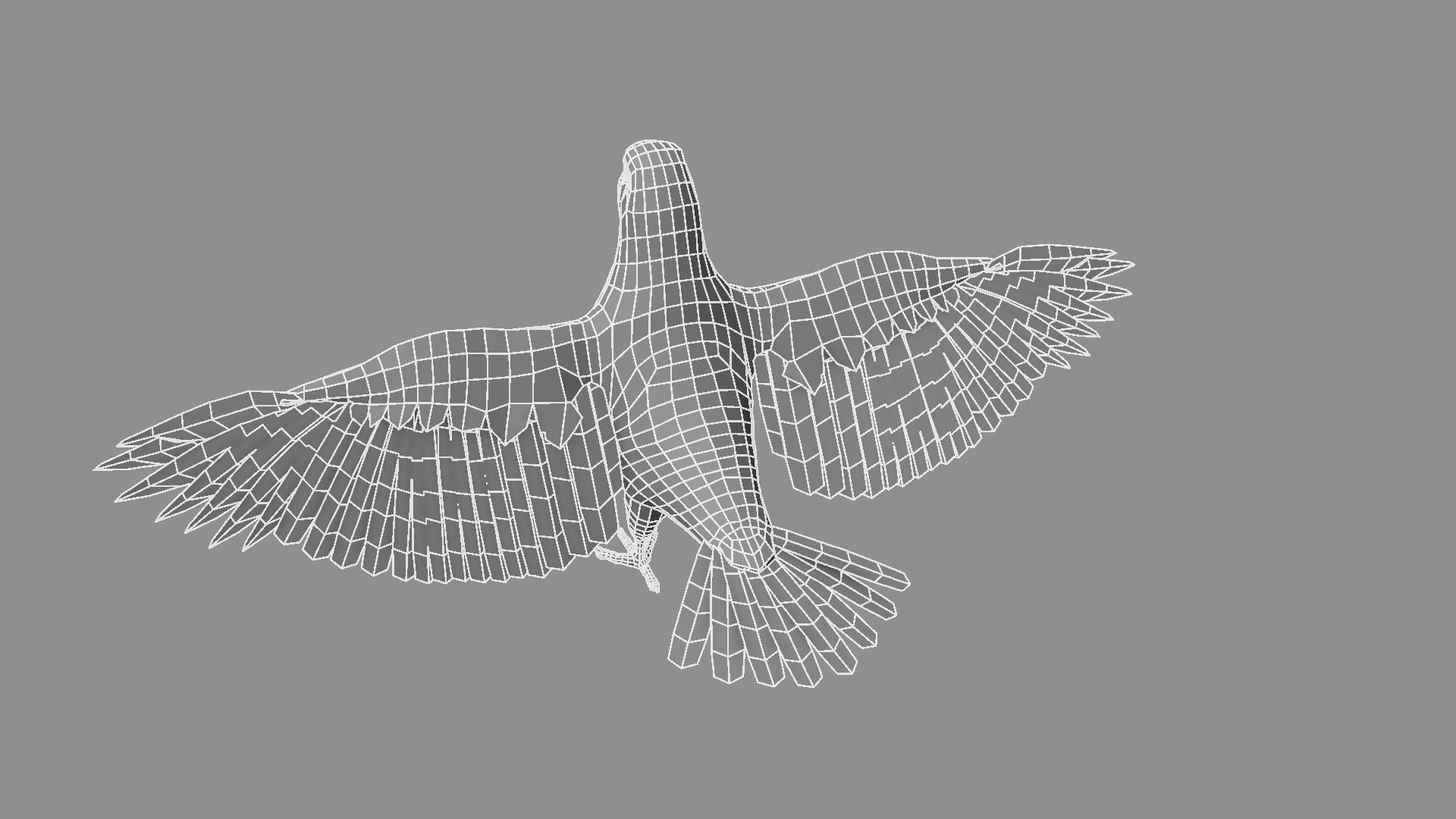 White Pigeon 3D model_6