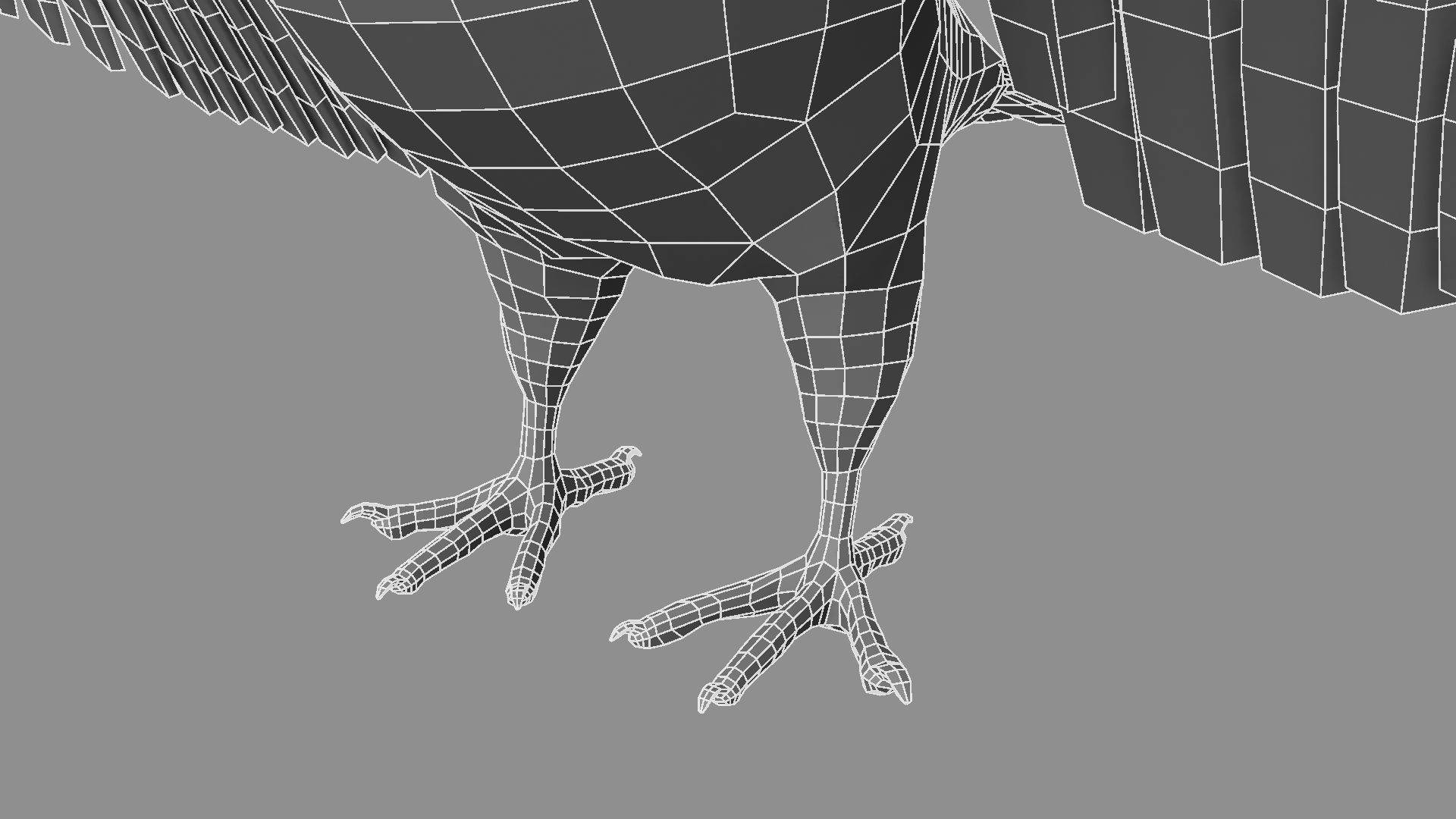 White Pigeon 3D model_21