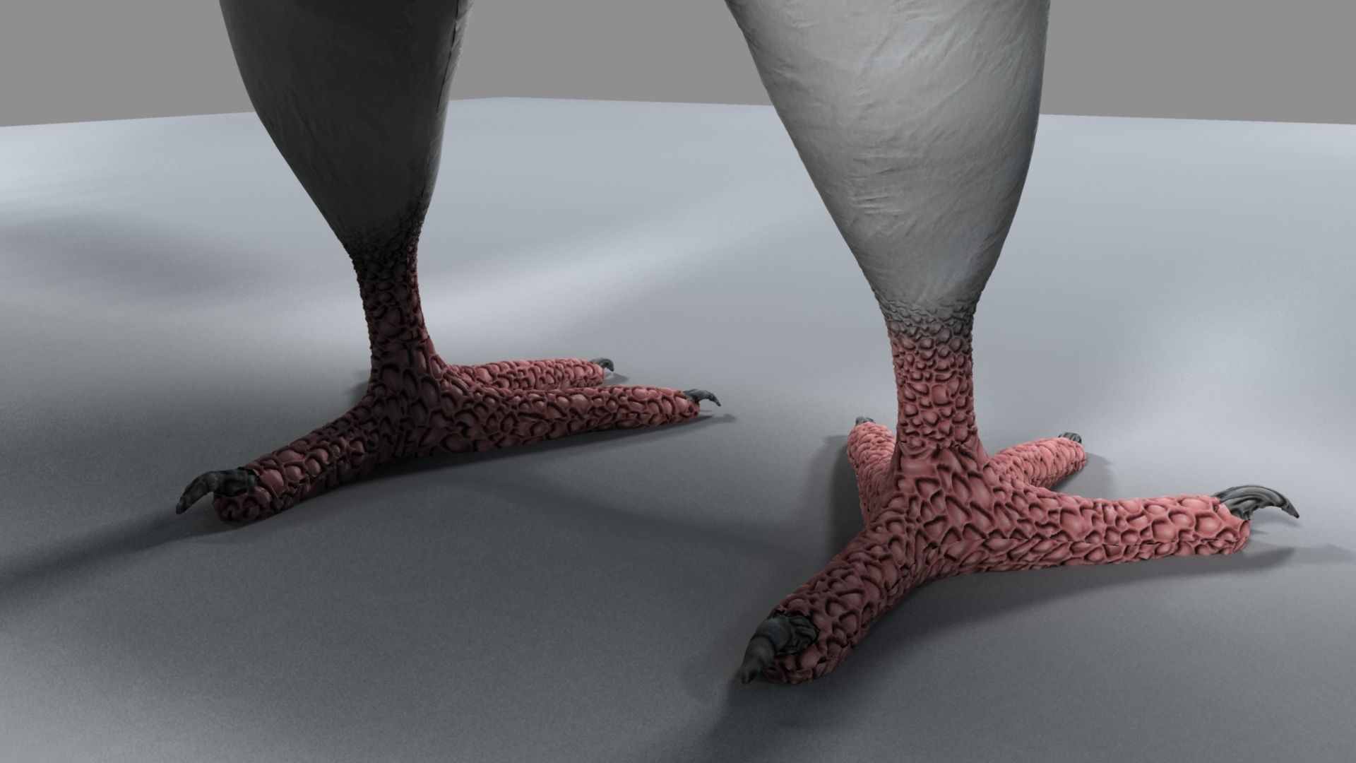 White Pigeon 3D model_27