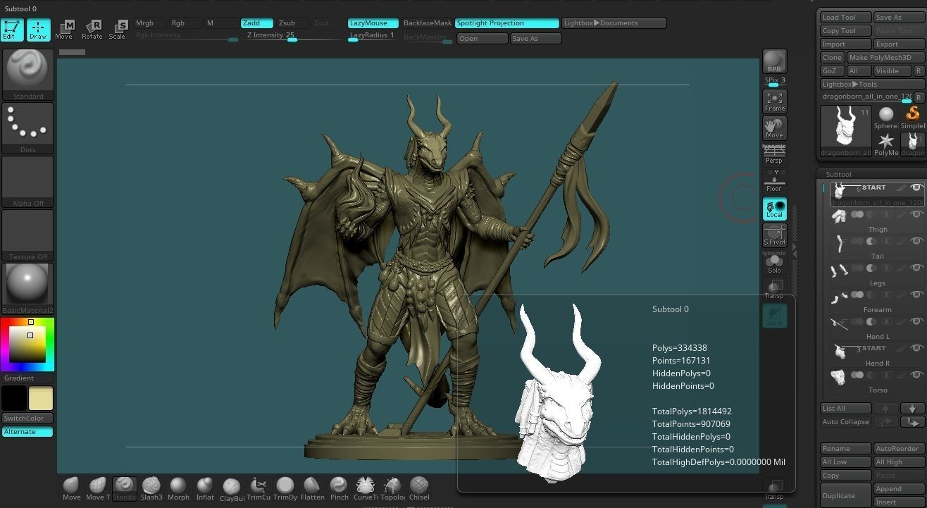 Dragonborn wizard or sorcerer DnD  for 3D printer 3D print model_1