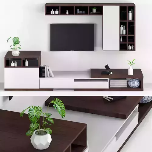 TV set unit with shelves and plants