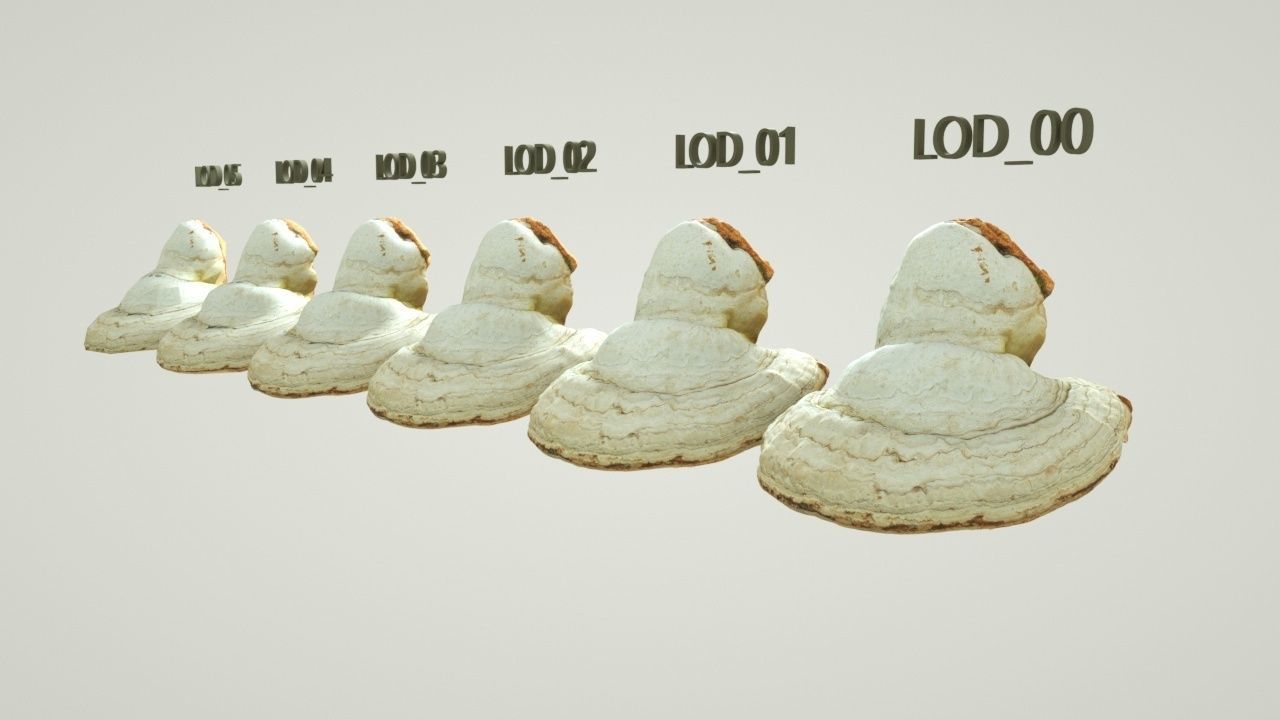 Forest Mushroom - Polypore - Ganoderma Low-poly 3D model_7