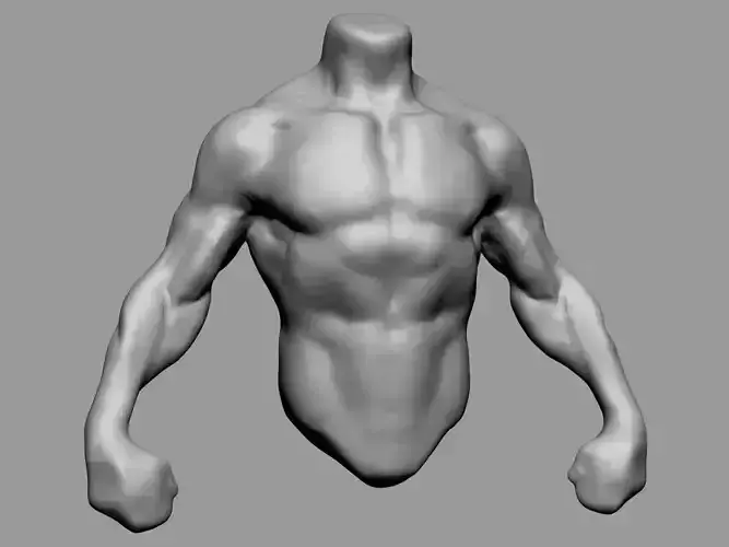 Male Torso v4 3D model