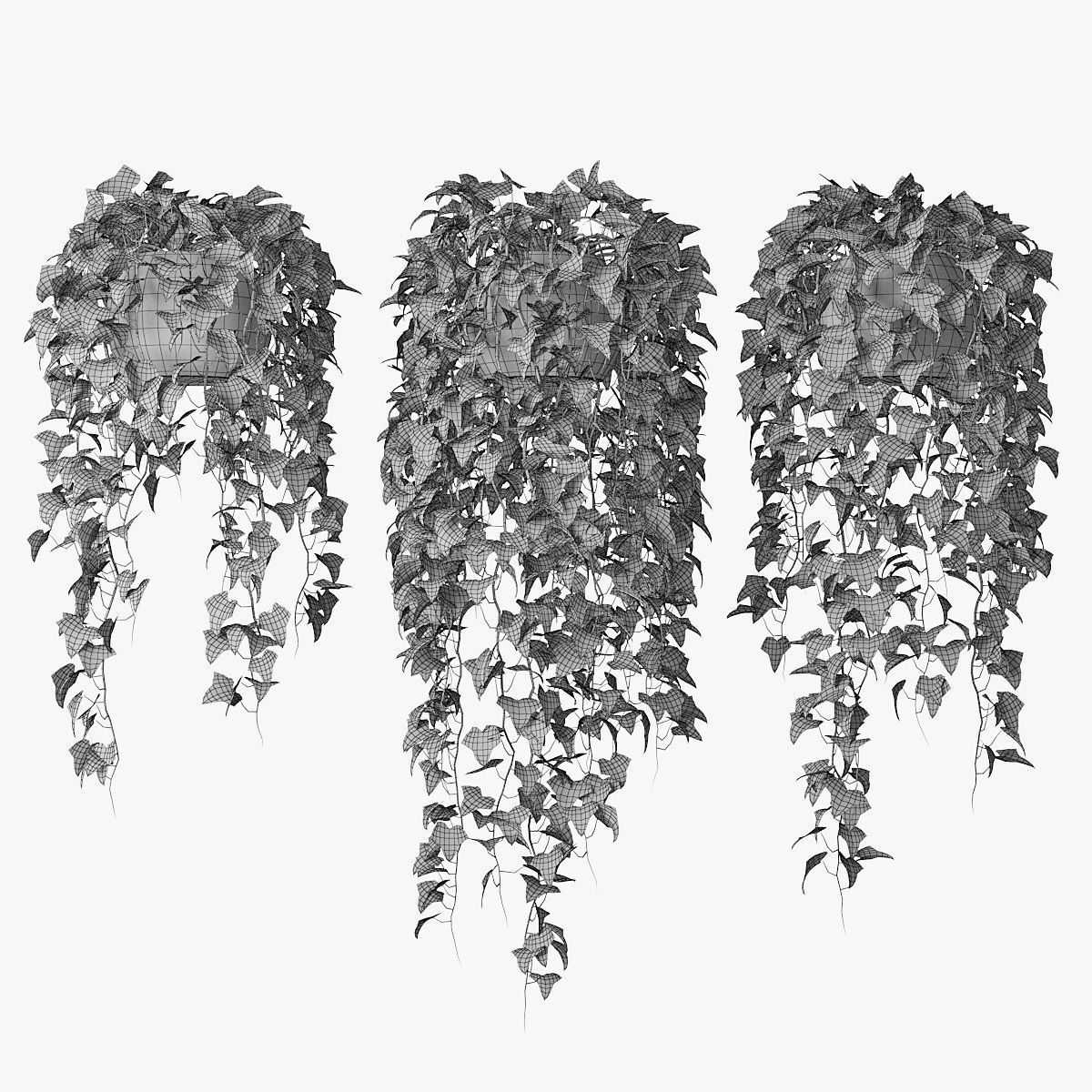 Ivy in pot 09 3D model_1