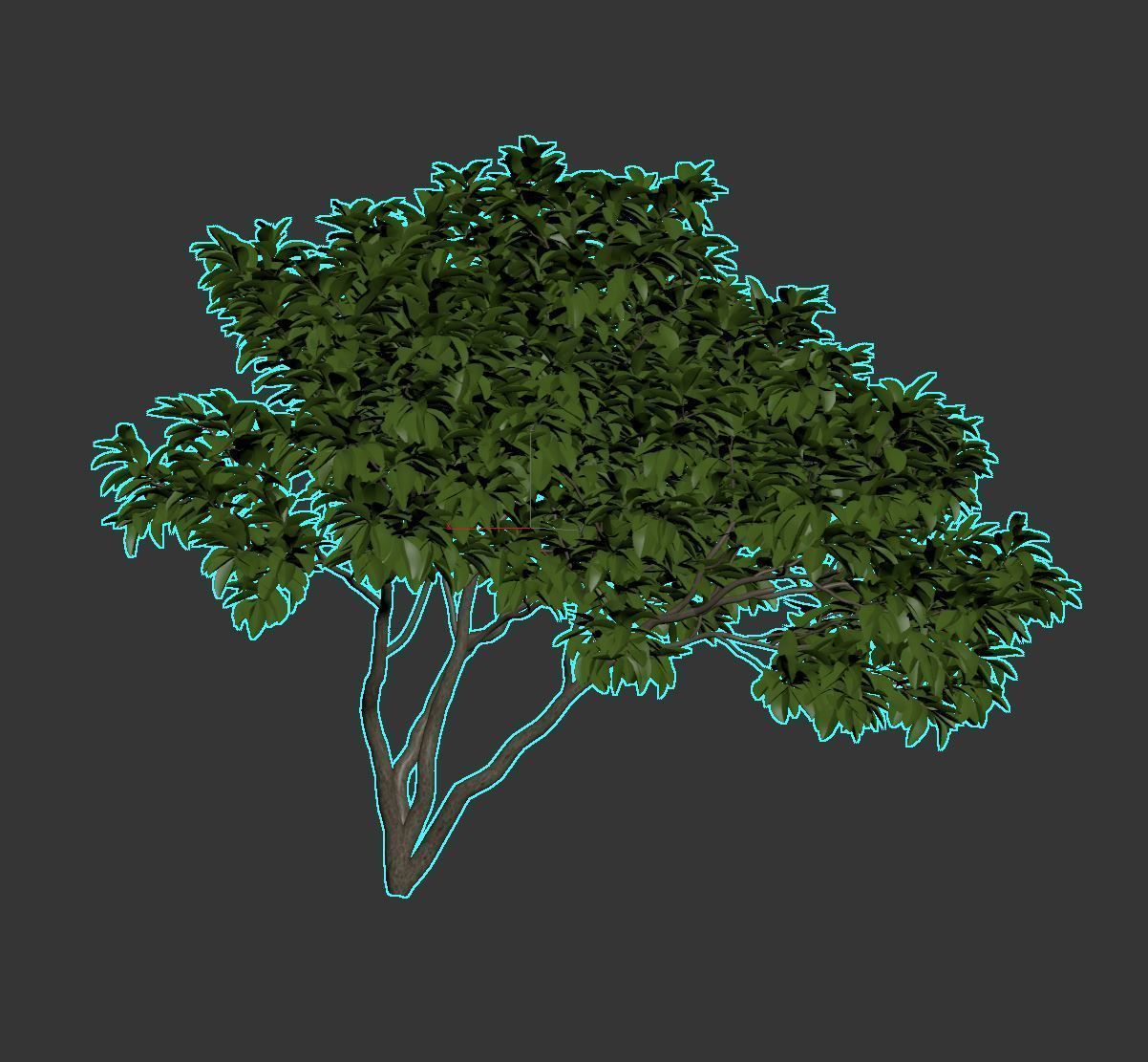 Magnolia Set tree 3D model_4