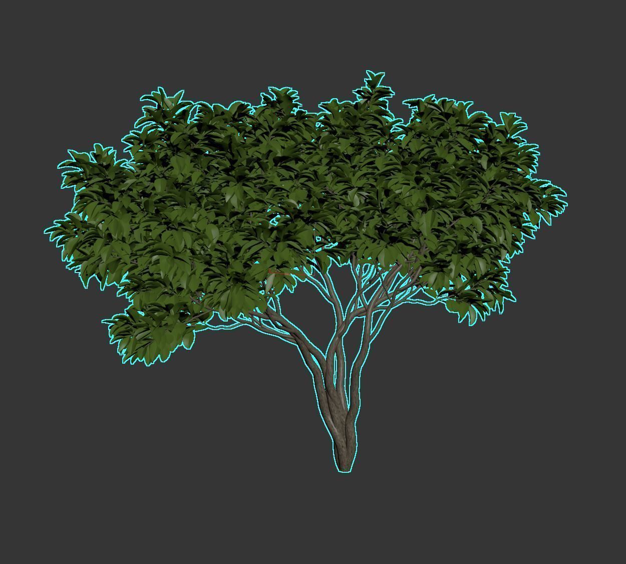 Magnolia Set tree 3D model_12