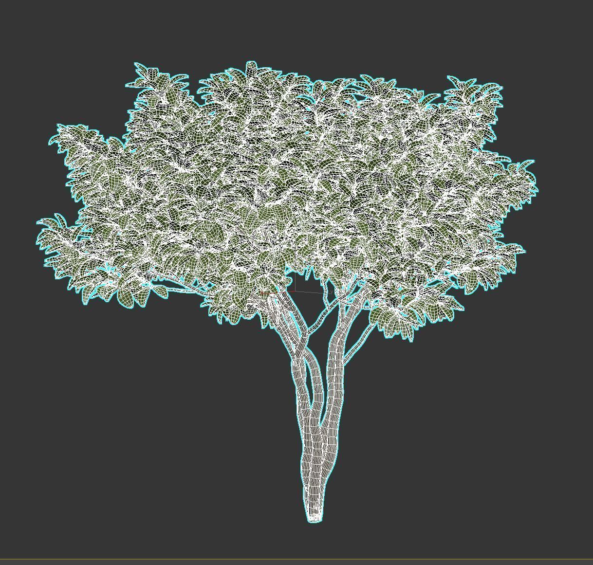 Magnolia Set tree 3D model_15