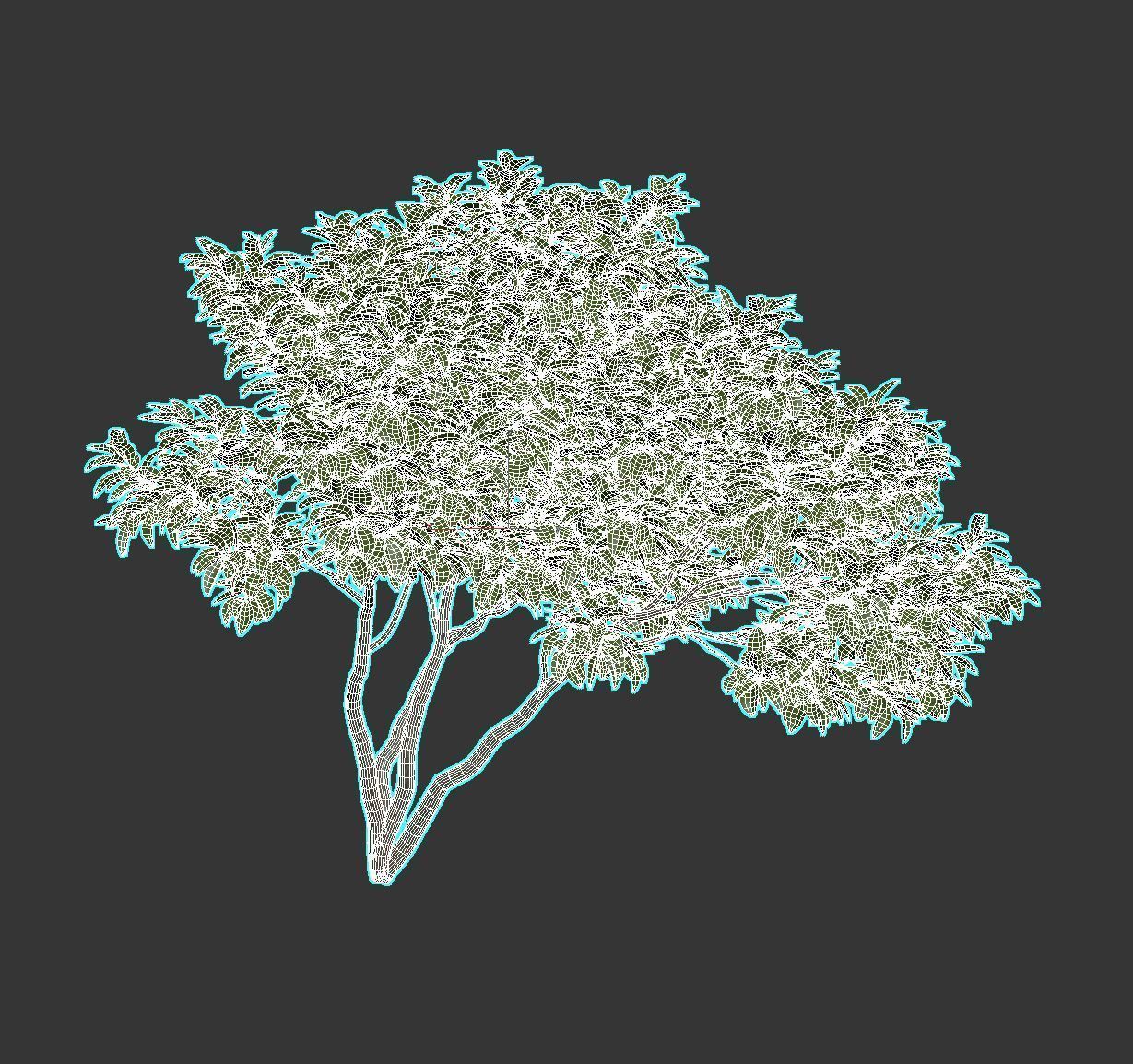 Magnolia Set tree 3D model_17