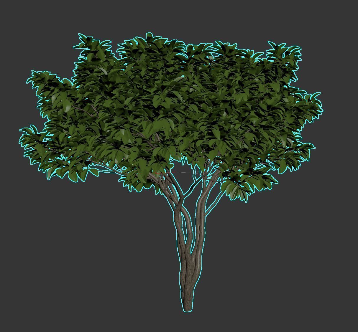 Magnolia Set tree 3D model_14