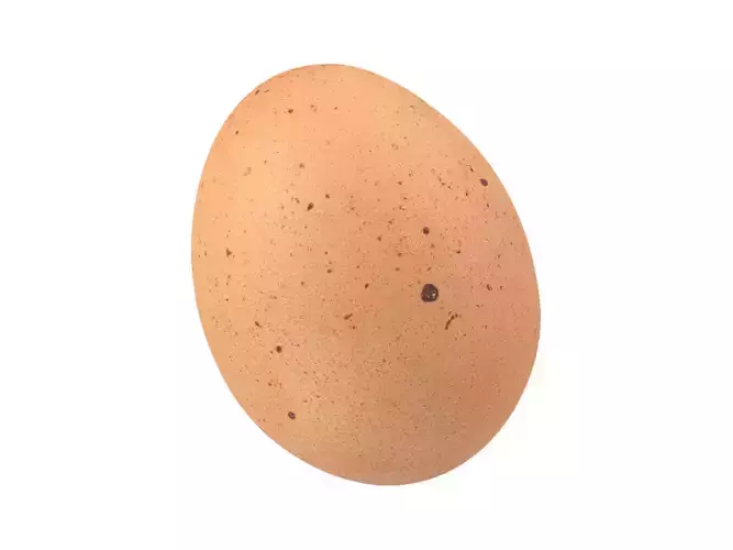 Photorealistic Egg 3D Scan