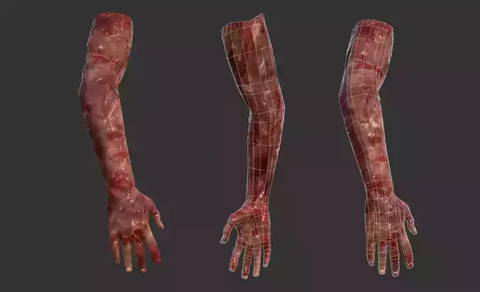 Arm Bloody Body Part Game Ready Low-poly 3D model